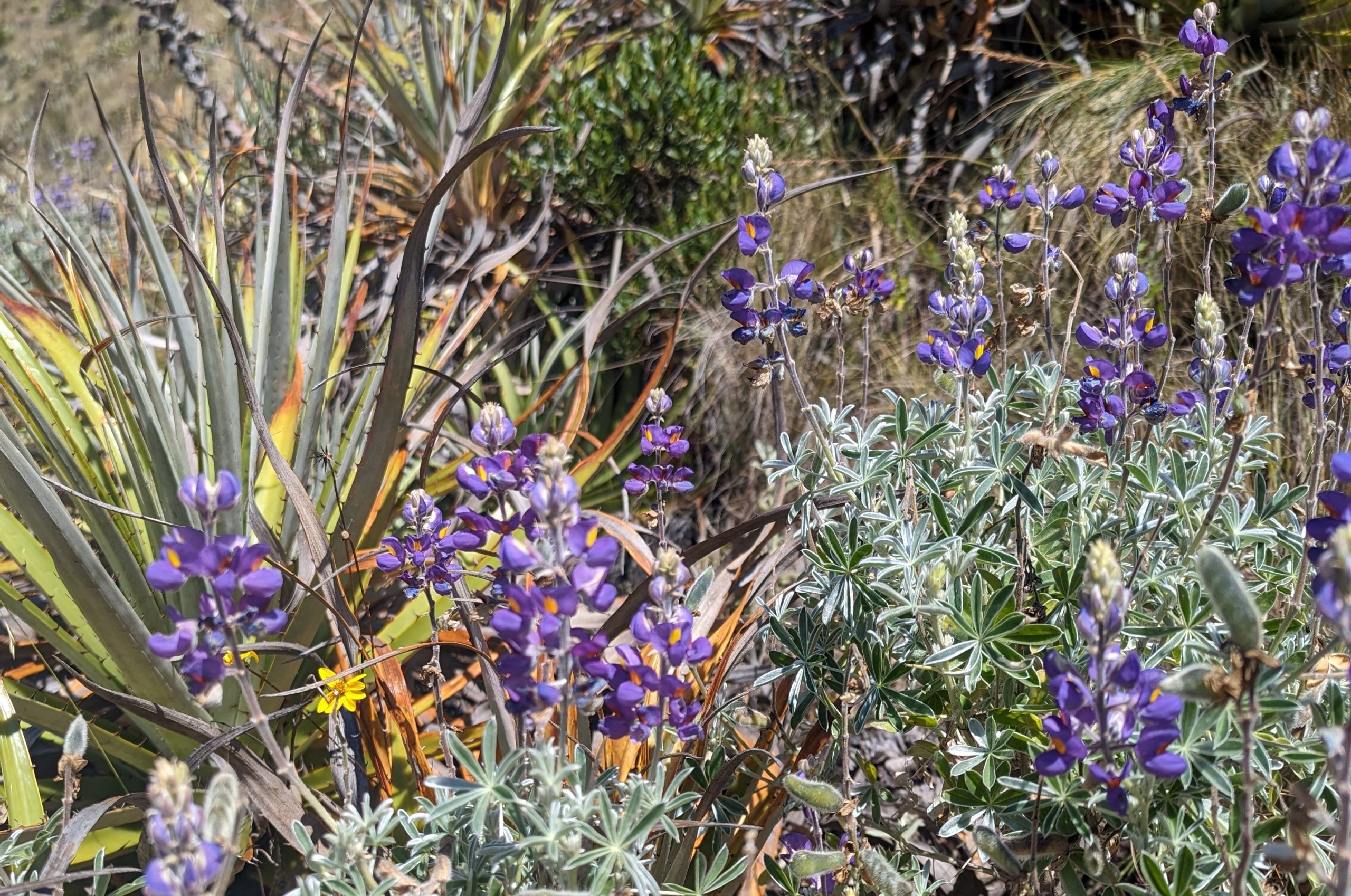 Easter and Spring